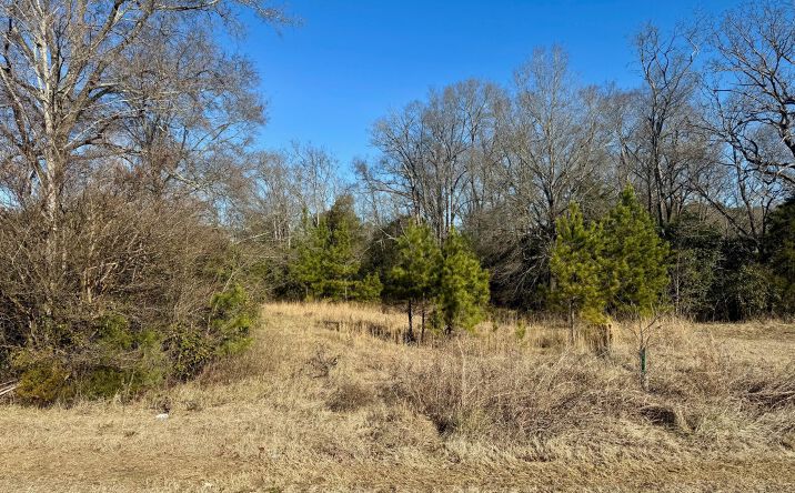 Pictures of Land property located at 1343 Christopher Cir, Rock Hill, SC 29730 for sales - image #1