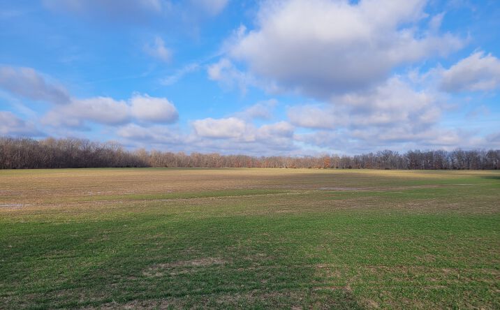 Pictures of Land property located at Bales Rd, Middletown, MO 63359 for sales - image #1
