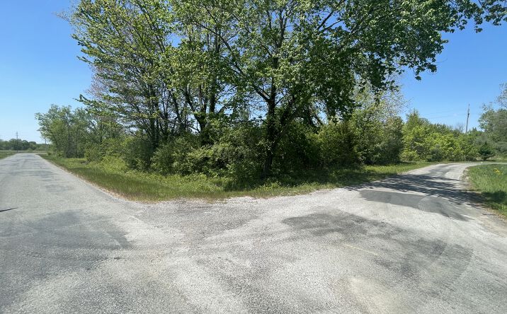 Pictures of Land property located at tbd San Diego Street, Cartervill, IL 62901 for sales - image #1