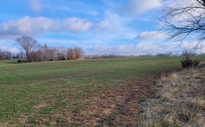 Pictures of Land property located at Bales Rd, Middletown, MO 63359 for sales - image #1