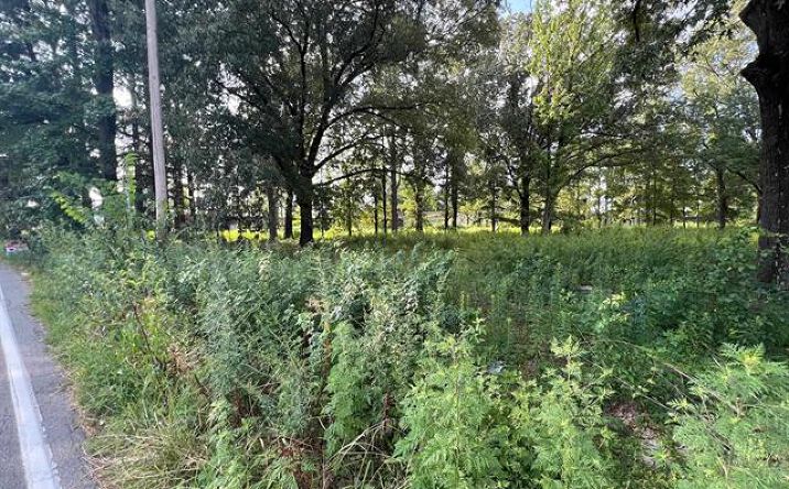 Pictures of Land property located at 6100 Young Rd, Little Rock, AR 72209 for sales - image #1