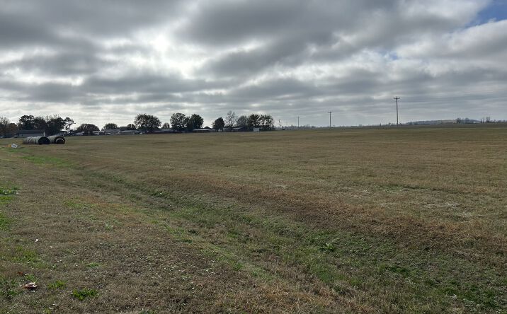 Pictures of Land property located at 13.50 acres Highway 463, Bay, AR 72411 for sales - image #1