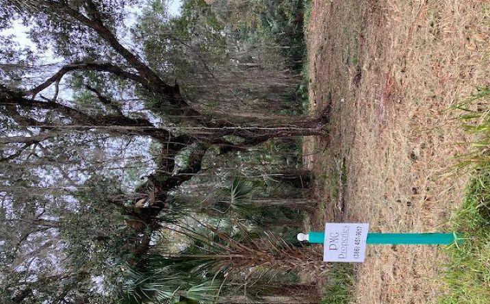 Pictures of Land property located at 0 Shell Harbor Road, Pierson, FL 32180 for sales - image #1