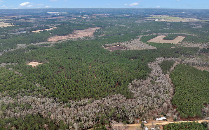 Pictures of Land property located at 12002 Clito Rd, Statesboro, GA 30461 for sales - image #1