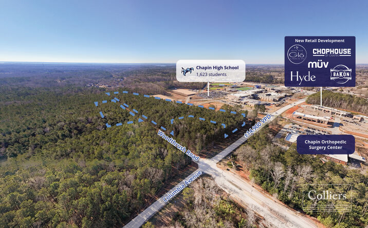 Pictures of Land, Mixed Use property located at Woodthrush Rd, Chapin, SC 29036 for sales - image #1