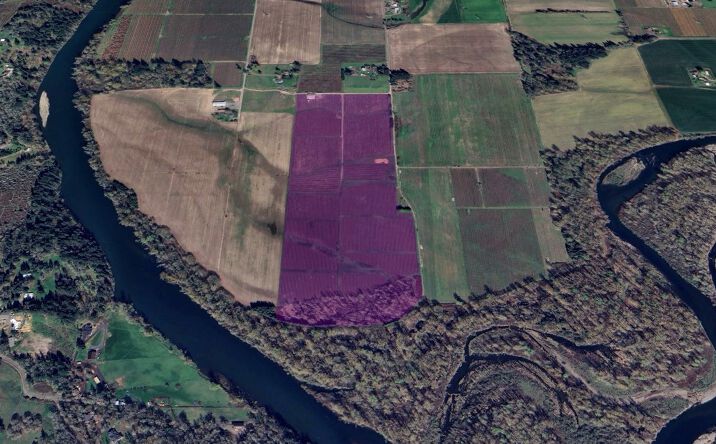 Pictures of Land property located at Harris Ln SE, Jefferson, OR 97352 for sales - image #1