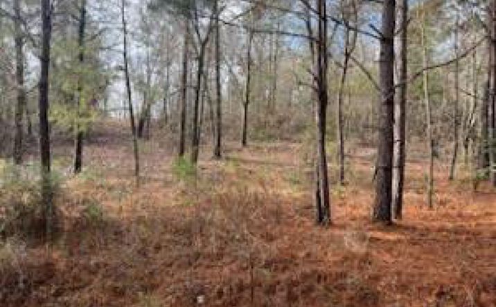 Pictures of Land property located at 3365 Columbia Highway, Ridge Spring, SC 29129 for sales - image #1