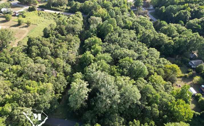Pictures of Land property located at Pepper St, Central, SC 29630 for sales - image #1