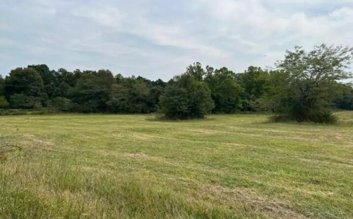 Pictures of Land property located at 15442 Boiling Springs Rd, Licking, MO 65542 for sales - image #1