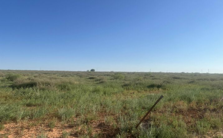 Pictures of Land property located at 1037 S Rrd O, Portales, NM 88130 for sales - image #1