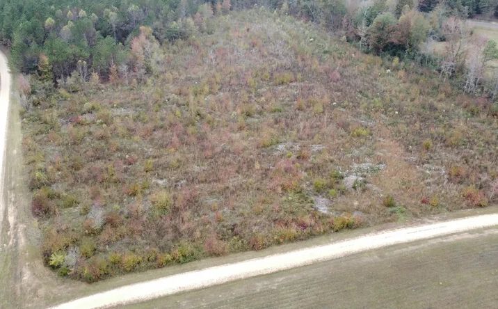 Pictures of Land property located at Stevens Rd, Hamilton, AL 35570 for sales - image #1