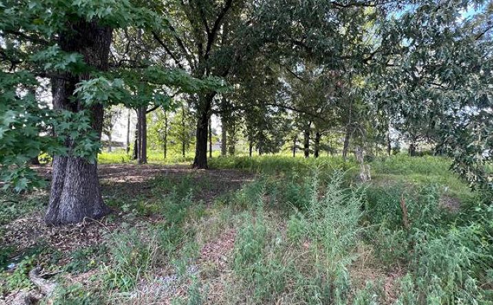 Pictures of Land property located at 6020 Young Rd, Little Rock, AR 72209 for sales - image #1
