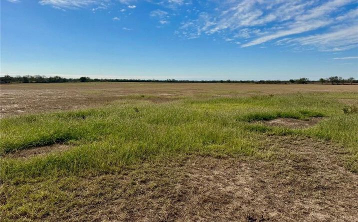 Pictures of Land property located at 39001 Mile 14 Road, Edinburg, TX 78541 for sales - image #1
