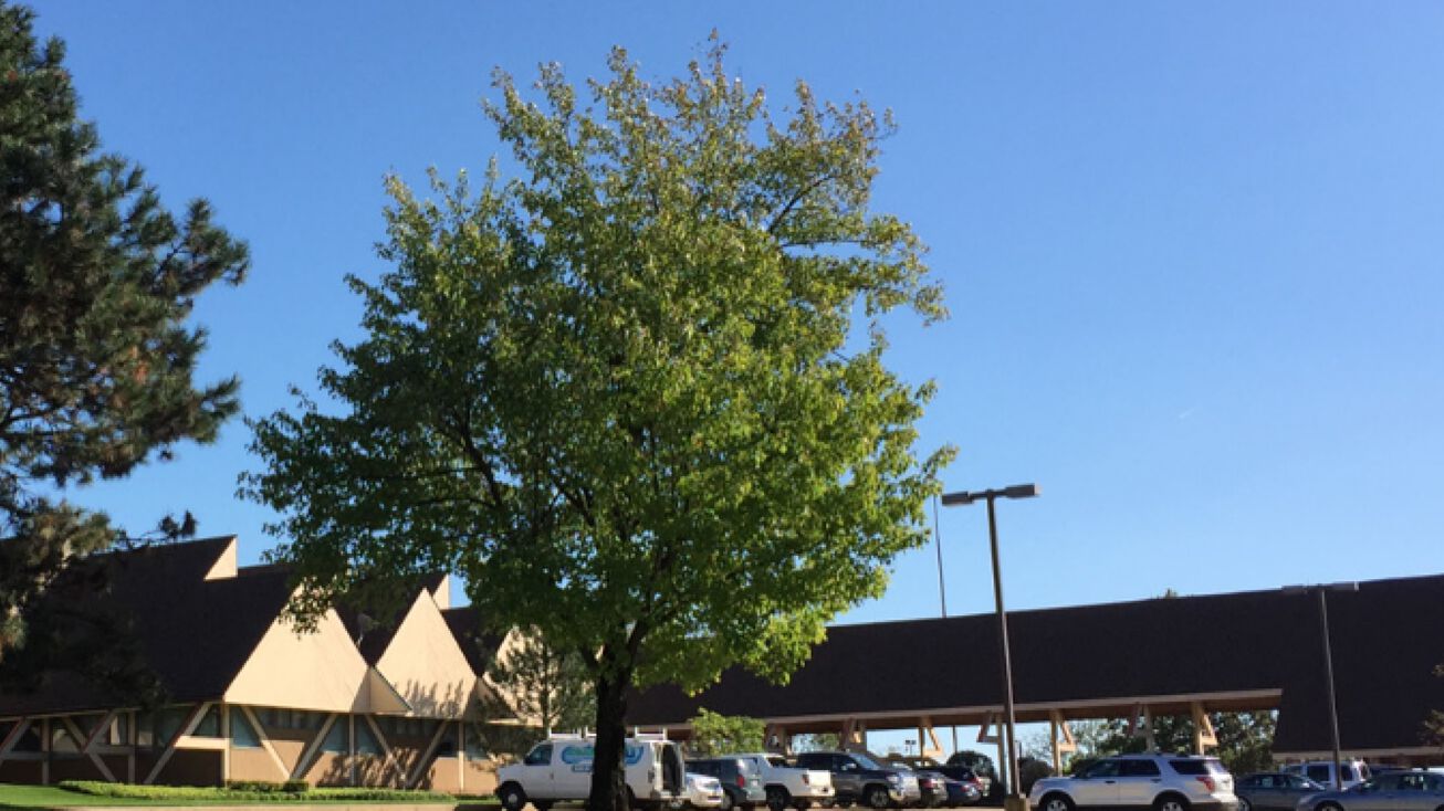 395 Springside Drive, Akron, OH 44333