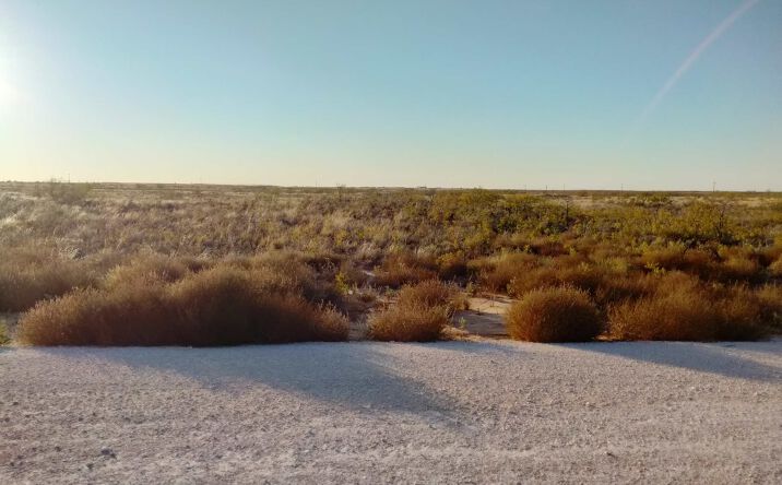 Pictures of Land property located at US-180, Seminole, TX 79360 for sales - image #1