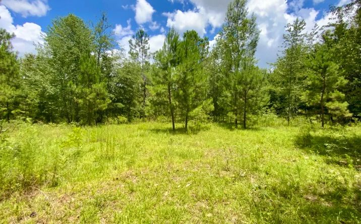 Pictures of Land property located at Vacant NE Dandelion St, Madison, FL 32340 for sales - image #1