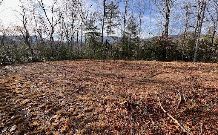 Pictures of Land property located at Lot #2 Tobacco Branch Road, Almond, NC 28702 for sales - image #1