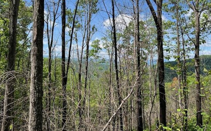 Pictures of Land property located at Lot 8 The Falls, Bryson City, NC 28713 for sales - image #1