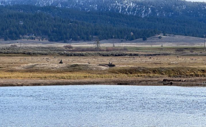 Pictures of Land property located at N Sawyer St, Cascade, ID 83611 for sales - image #1