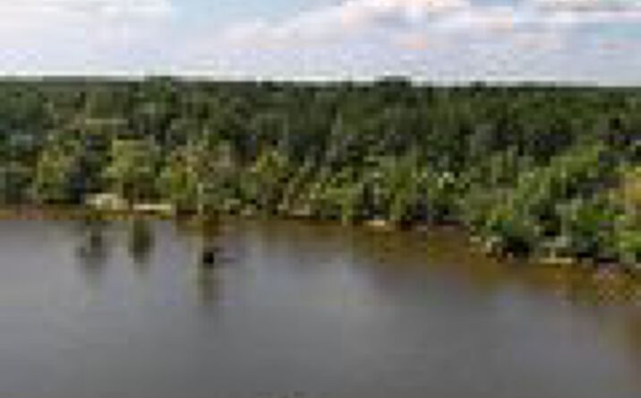 Pictures of Land property located at Miller Rd, Boyce, LA 71409 for sales - image #1