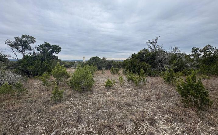 Pictures of Land, Mixed Use property located at 31858 Ranch Rd 12, Dripping Springs, TX 78620 for sales - image #1