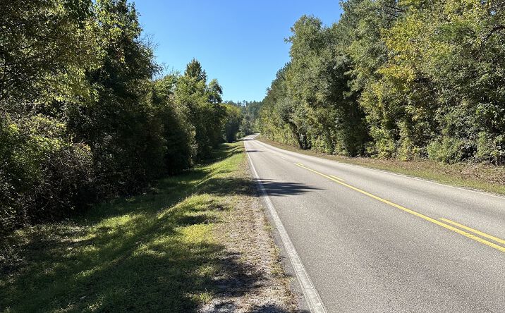 Pictures of Land property located at 75+/- Acres of land in Shelby County, Calera, AL 35040 for sales - image #1