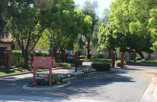 21413958
