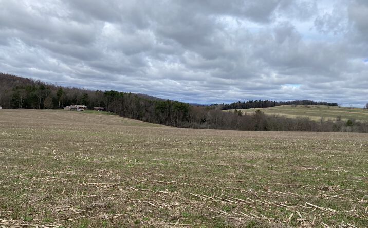Pictures of Land property located at 120 Lloyds Rd, Cherry Tree, PA 15724 for sales - image #1