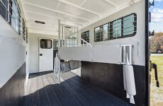 21654250