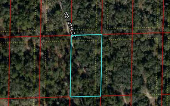 Pictures of Land property located at 0 Bronson, Bronson, FL 32621 for sales - image #1