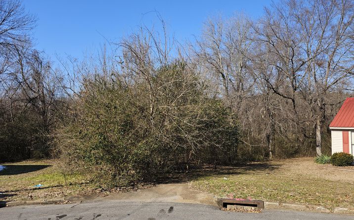 Pictures of Land property located at 69 Honey Bear Cove, Jackson, TN 38305 for sales - image #1