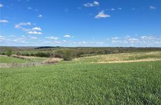 21370522