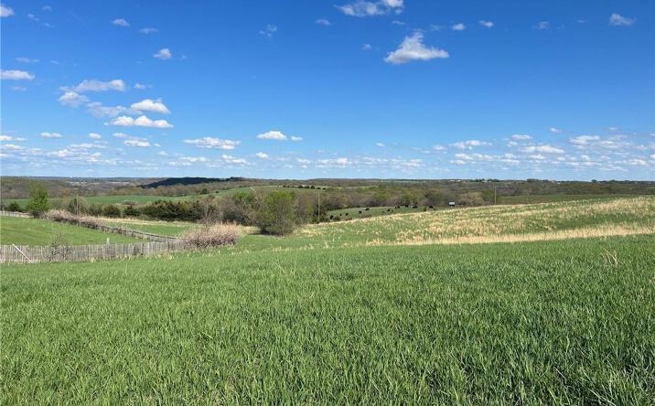 Pictures of Land property located at 000000 195 Street, Easton, KS 66020 for sales - image #1