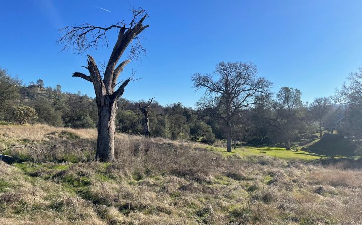 Pictures of Special Purpose property located at Lot 741 Long Hollow Drive, Coarsegold, CA 93614 for sales - image #1