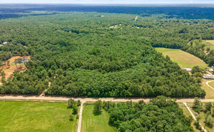 Pictures of Land property located at Old Military Rd, Bush, LA 70431 for sales - image #1