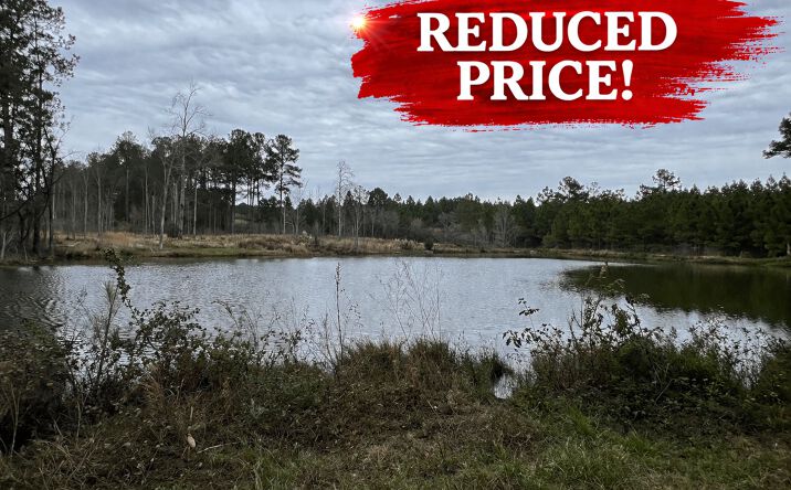 Pictures of Land property located at Lower River Rd, Blakely, GA 39823 for sales - image #1