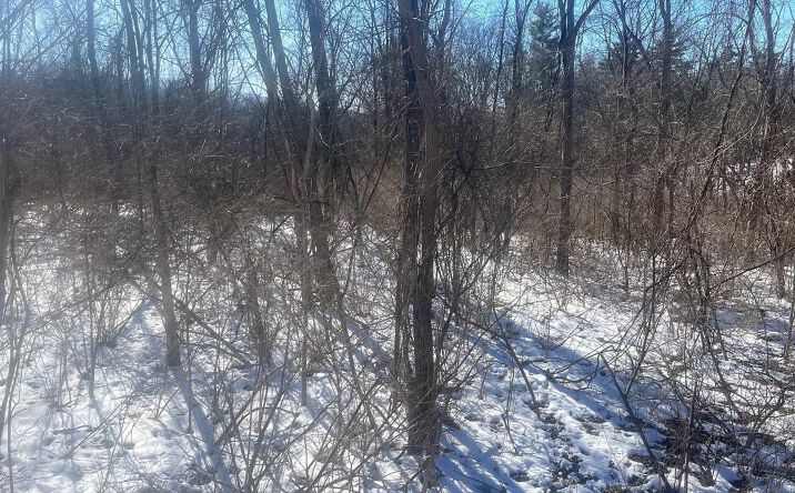 Pictures of Land property located at 1933 Blue Jay Road, Heath, OH 43056 for sales - image #1
