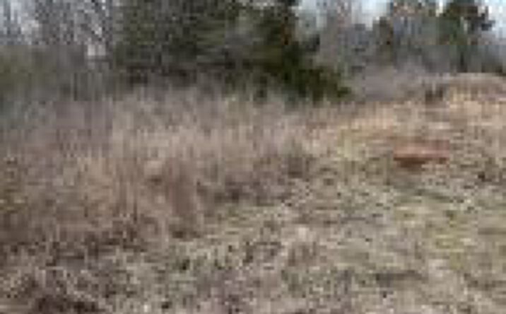 Pictures of Land property located at Tbd Meeting Street Road Road, Edgefield, SC 29824 for sales - image #1