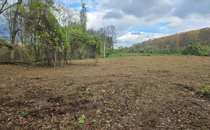 Pictures of Land property located at Rhea County Hwy / Hwy 27, Spring City, TN 37381 for sales - image #1