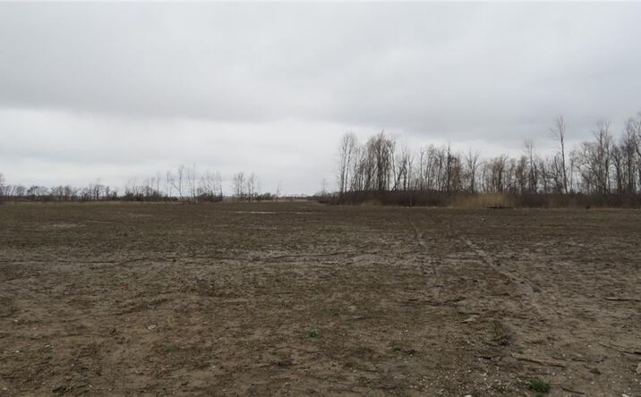 Pictures of Land property located at 00 E Co Rd 350 S Road, Crawfordsville, IN 47933 for sales - image #1