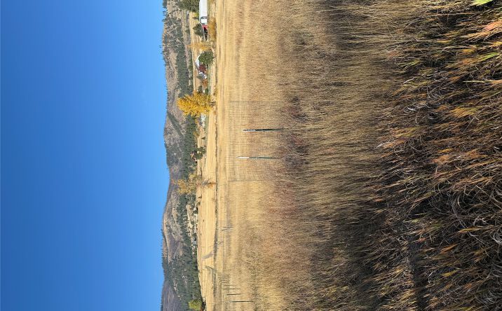 Pictures of Land property located at 16350 Queen Anne Lane Lane Rowan Street  and Queen Anne, Florence, MT 59833 for sales - image #1