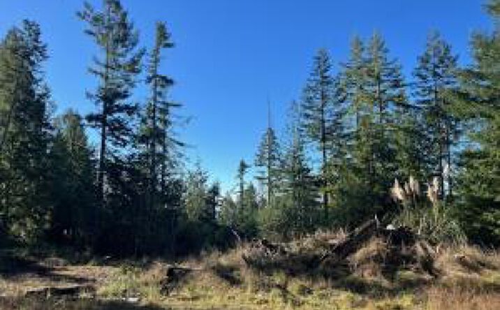Pictures of Land property located at 5091 Greenwood Heights Dr, Kneeland, CA 95549 for sales - image #1