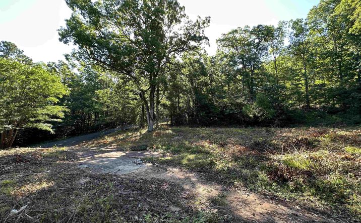 Pictures of Land property located at 101 Oak Place, Gadsden, AL 35901 for sales - image #1