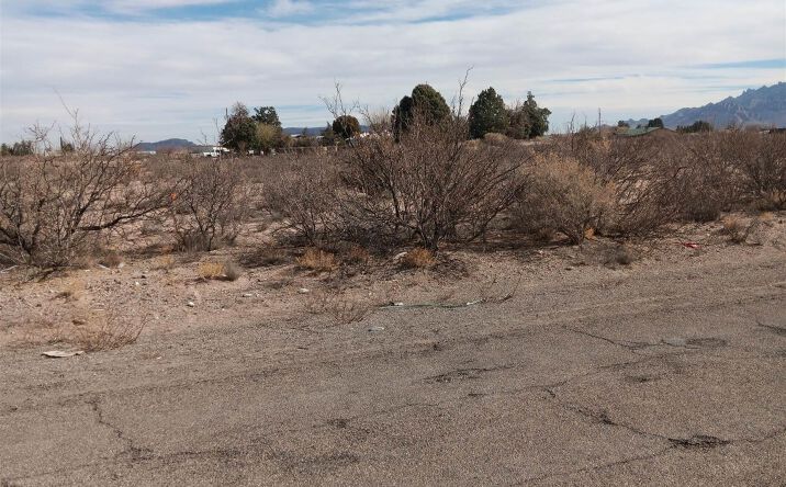 Pictures of Land property located at 000 S Saddler Street, Deming, NM 88030 for sales - image #1