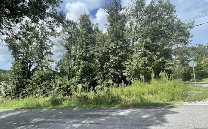 Pictures of Land property located at Lot 13-14 Anchor Drive, Southside, AL 35907 for sales - image #1