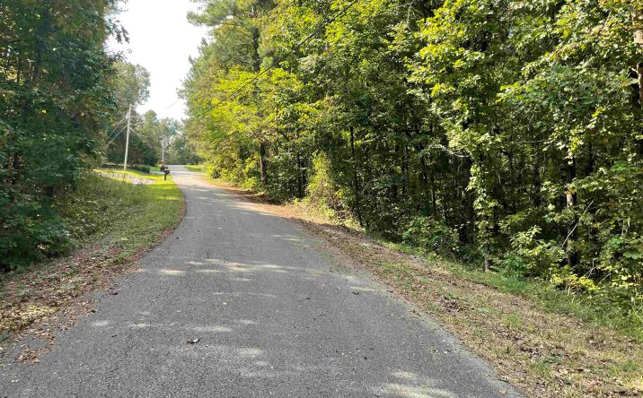 Pictures of Land property located at Mountain Top Dr, Southside, AL 35907 for sales - image #1