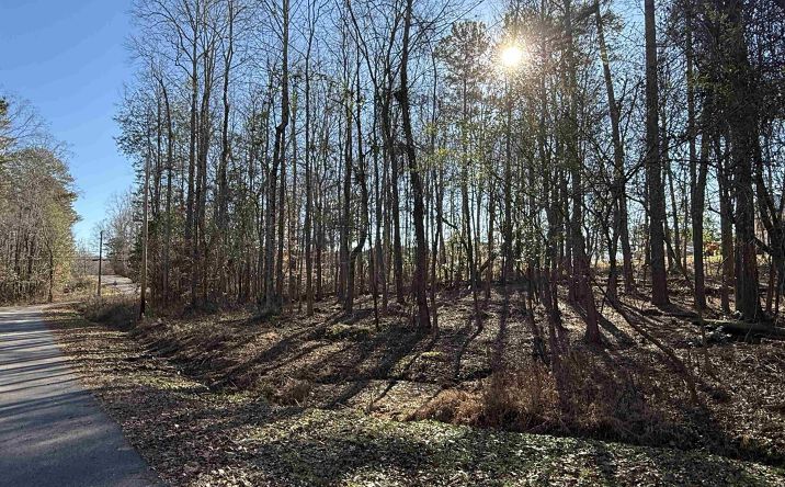Pictures of Land property located at 5 Nancy Cove Road, Southside, AL 35907 for sales - image #1