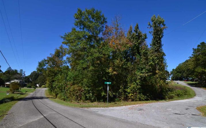 Pictures of Land property located at 18 Broughton Springs Road, Southside, AL 35907 for sales - image #1