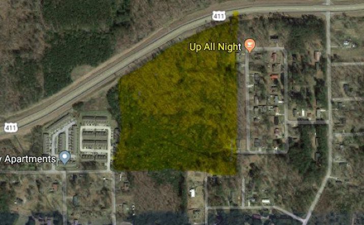 Pictures of Land property located at 25 +/- Acres Highway 411, Gadsden, AL 35901 for sales - image #1