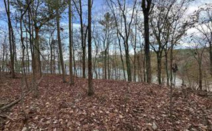 Pictures of Land property located at Lot 19 Mohawk Cliff Road, Ohatchee, AL 36271 for sales - image #1